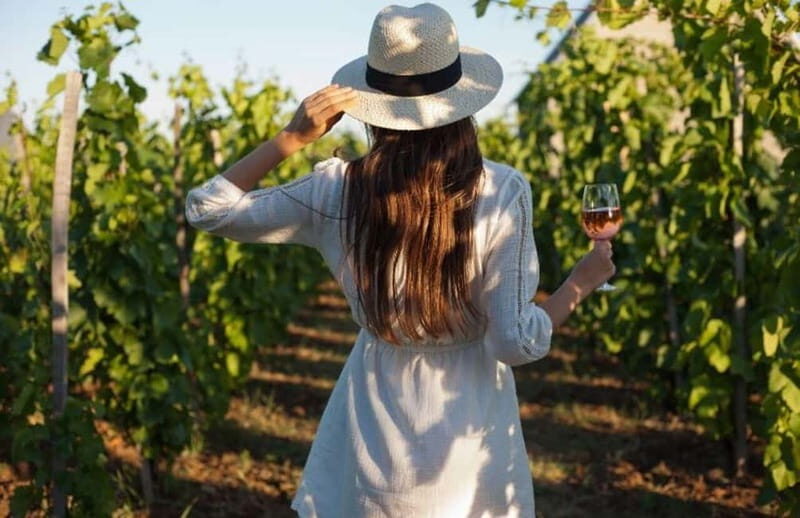 Florence: Chianti Vineyards Tour with Wine Tasting & Dinner - Exploring Tuscany’s Charm: A Detailed Look at the Chianti Vineyards Tour from Florence  