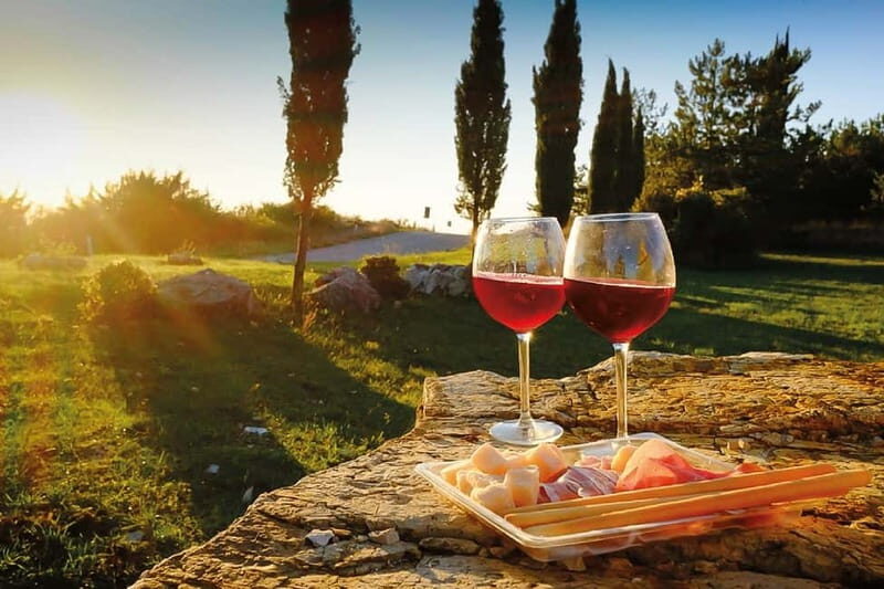 Florence: Chianti Vineyards Tour with Wine Tasting & Dinner - The Vineyard Experience: Wineries, Tastings, and Stories  