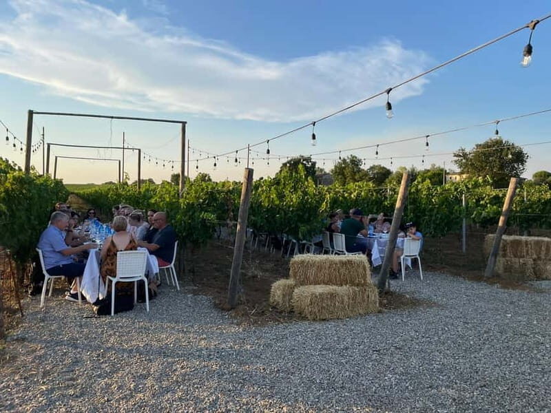 Florence: Chianti Vineyards Tour with Wine Tasting & Dinner - FAQs  