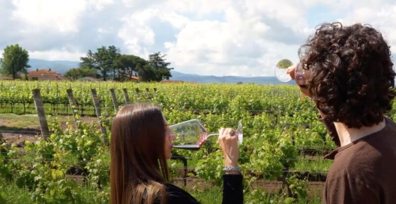 florence-chianti-vineyards-tour-with-wine-tasting-dinner