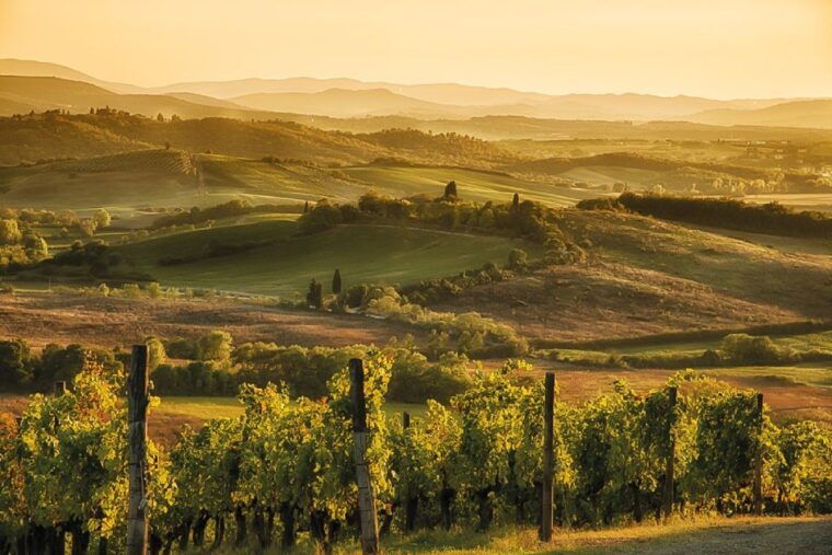 florence-chianti-vineyards-tour-with-wine-tasting-dinner