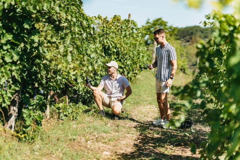 Florence: Chianti Wineries Tour with Wine Tasting - Final Thoughts