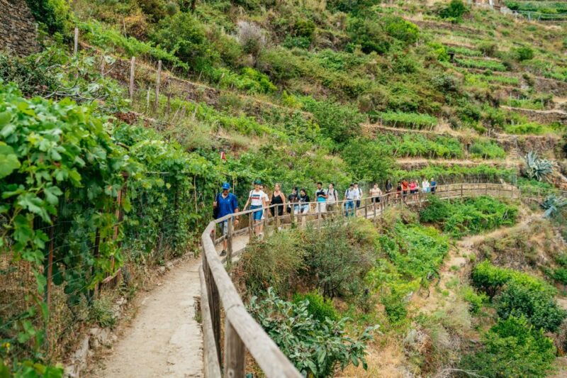 florence-cinque-terre-day-trip-with-optional-hike