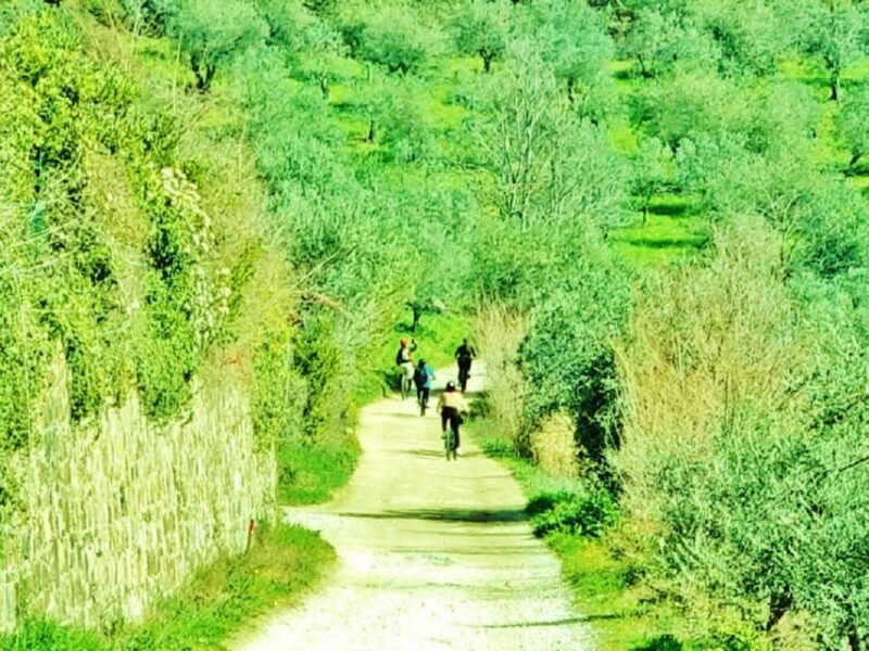 florence-country-ebike-tour-wine-tasting-in-organic-farm