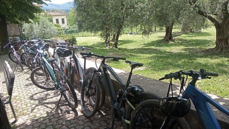 florence-country-ebike-tour-wine-tasting-in-organic-farm