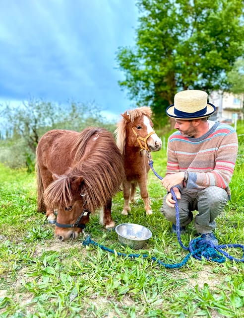 florence-countryside-tour-with-wine-tasting-pasta-class