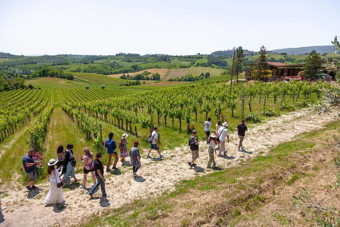 Florence Day Trip: Pisa, San Gimignano and Siena with Lunch - Who Would Enjoy This Tour?