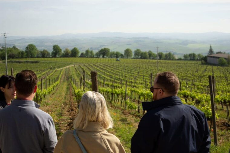 florence-day-trip-to-montalcino-with-2-wineries-and-lunch