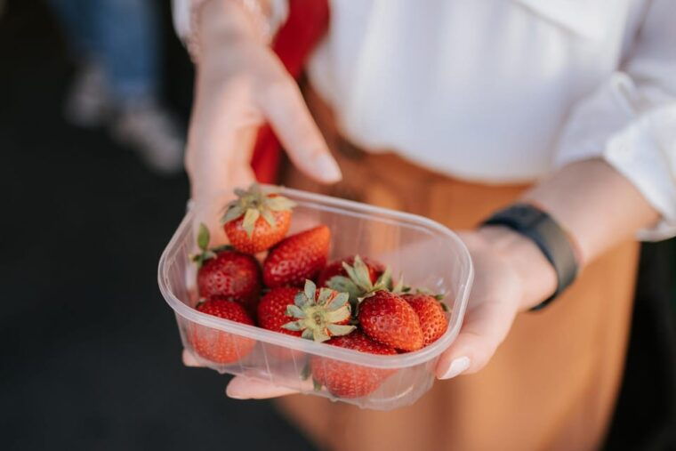 florence-devour-food-tour-with-santambrogio-market-visit