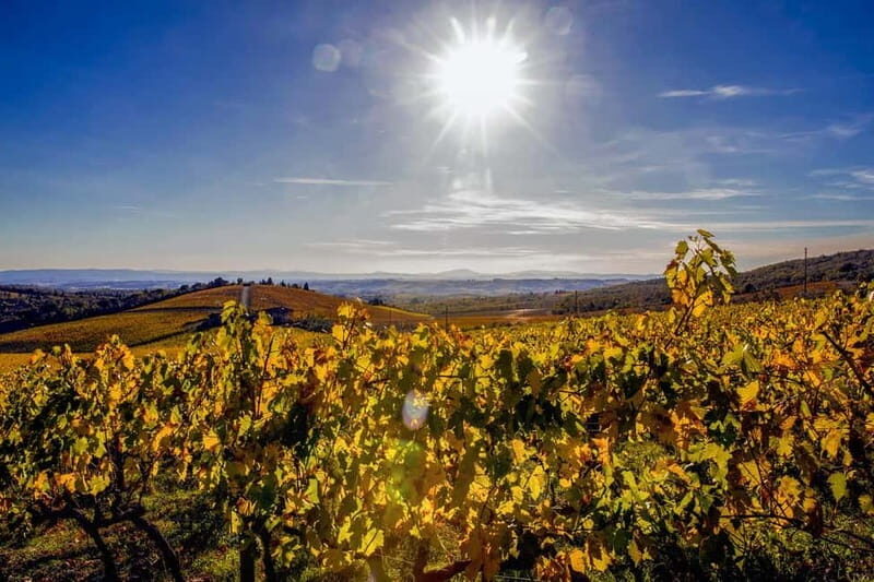Florence: Explore Chianti by Vintage Car with Wine Tasting - The Itinerary: An In-Depth Look
