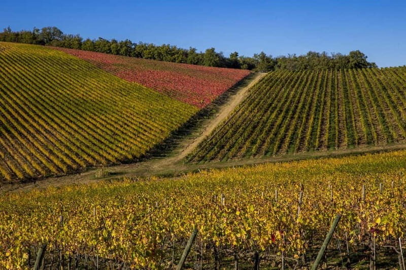 Florence: Explore Chianti by Vintage Car with Wine Tasting - FAQs