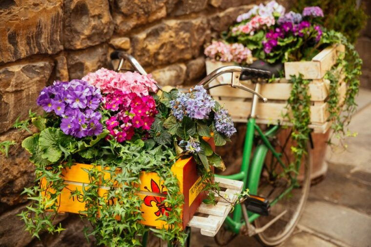 florence-family-friendly-private-tour