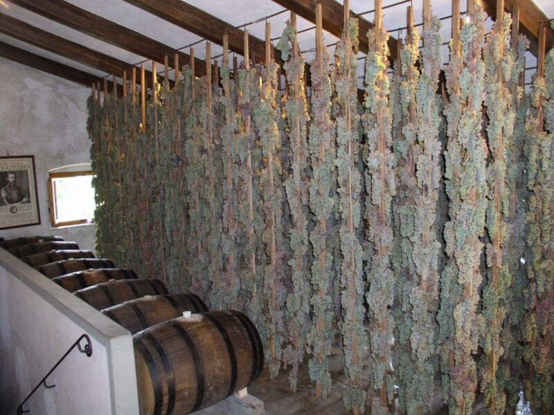 florence-full-day-private-tour-of-chianti-and-san-gimignano