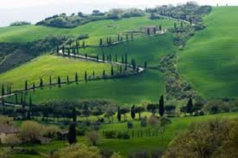 florence-guided-tours-of-the-city-and-chianti-countryside