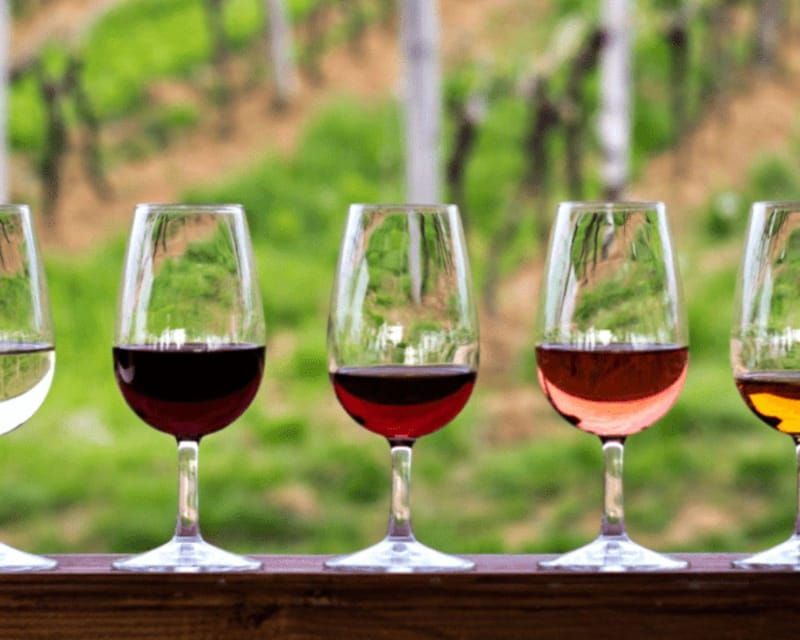 florence-half-day-private-tuscany-wine-tour-with-2-wineries