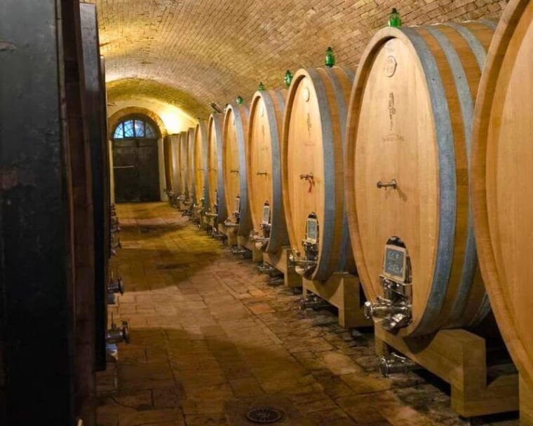 florence-half-day-private-tuscany-wine-tour-with-2-wineries