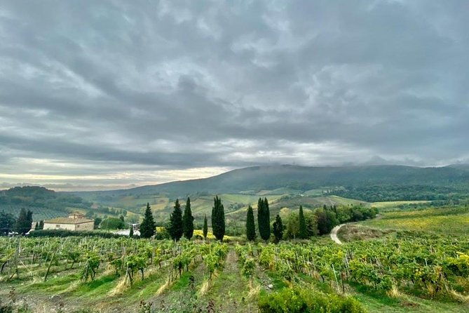 florence-highlights-from-livorno-port