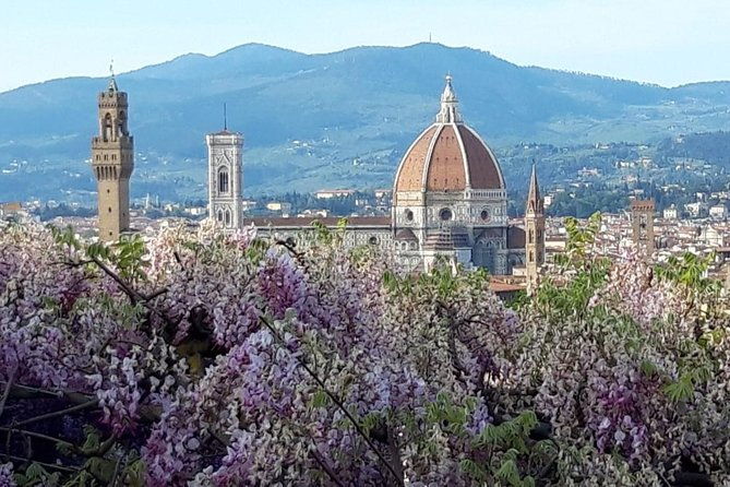 florence-highlights-uffizi-and-accademia-guided-tours