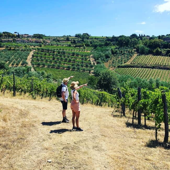 Florence: Hiking Tuscany & Chianti wine 3 wineries and lunch - Key Points