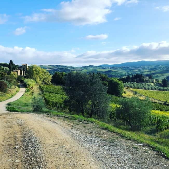 Florence: Hiking Tuscany & Chianti wine 3 wineries and lunch - Visiting Historic, Family-Run Wineries