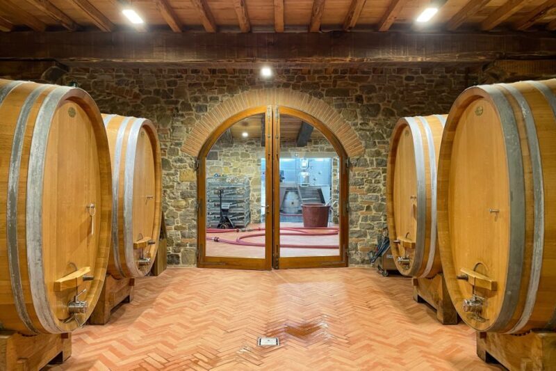 Florence: Hiking Tuscany & Chianti wine 3 wineries and lunch - The Modern Art Winery with Stunning Views