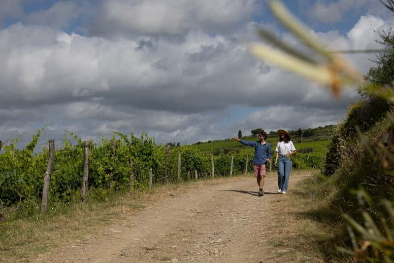 Florence: Hiking Tuscany & Chianti wine 3 wineries and lunch - Who Should Consider This Tour?