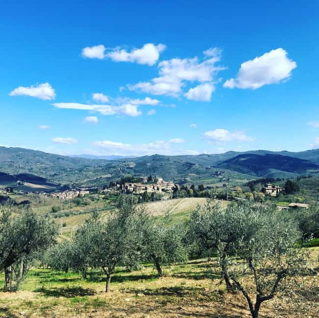 Florence: Hiking Tuscany & Chianti wine 3 wineries and lunch - FAQ