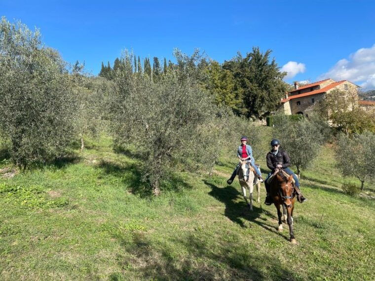 florence-horse-ride-3h-and-wine-tastinglunch-at-a-castle