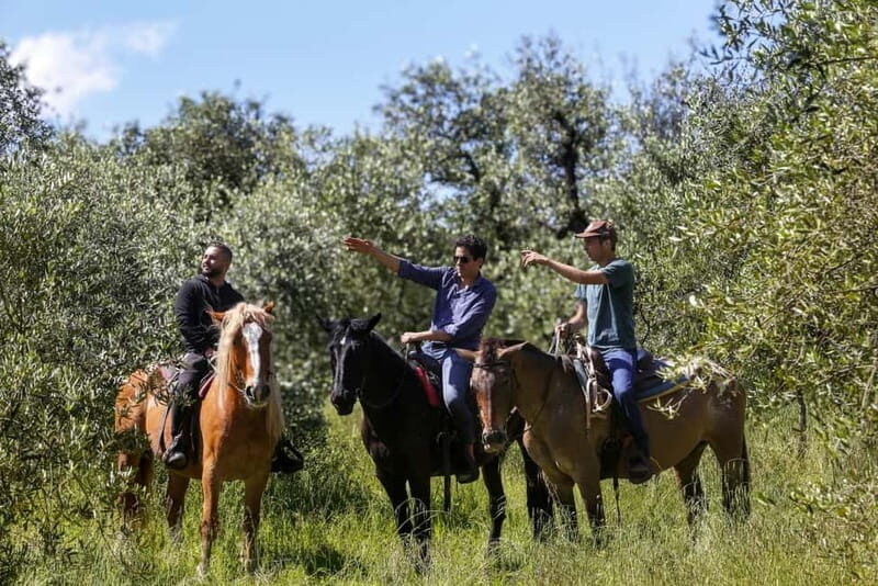 Florence: Horse Ride & Chianti Farm Meal - Florence: Horse Ride & Chianti Farm Meal – A Genuine Tuscan Escape