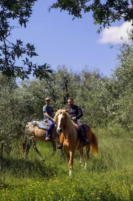 Florence: Horse Ride & Chianti Farm Meal - Why This Tour Is a Great Choice