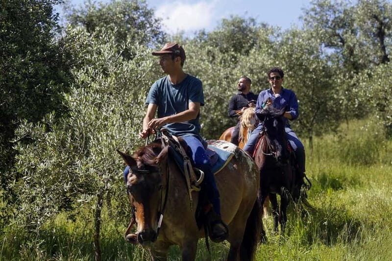 Florence: Horse Ride & Chianti Farm Meal - Final Thoughts
