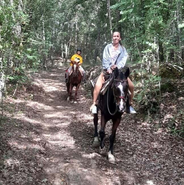 Florence - Horseback riding day trip in the Chianti hills - An In-Depth Look at the Horseback Riding Experience in Tuscany