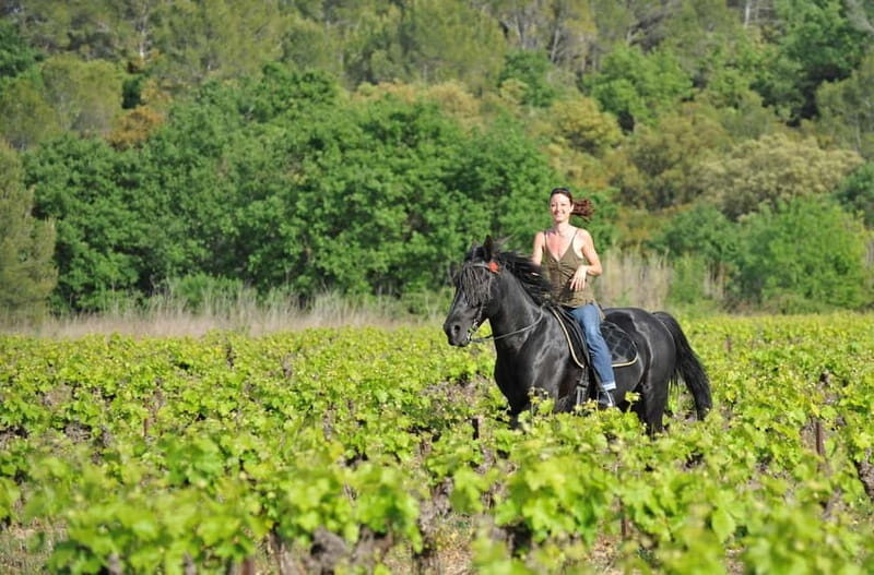 Florence: Horseback Riding, Wine Tasting & Cooking Class - Final Thoughts