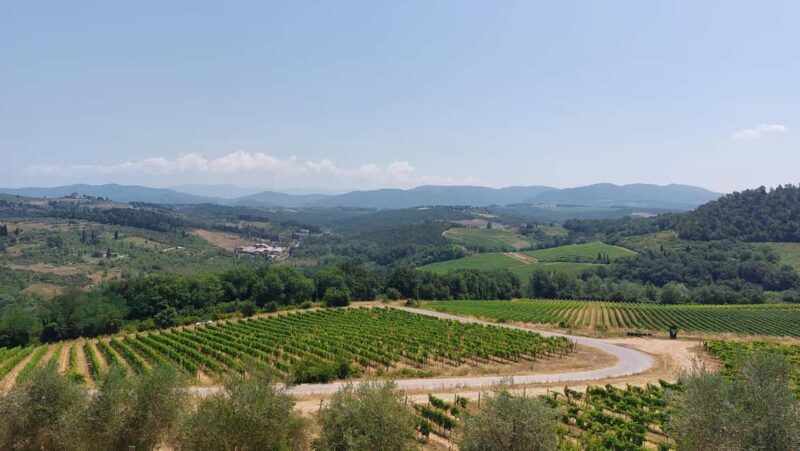 Florence like a local wine teasting - Key Points