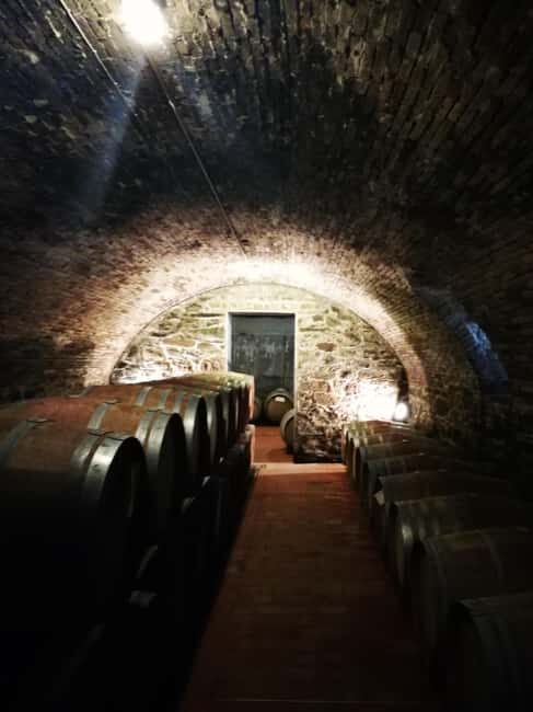 Florence like a local wine teasting - Exploring Florence with a Local Flair