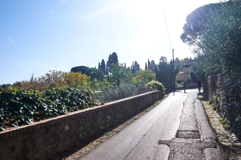 florence-local-hills-e-bike-tour-with-olive-oil-tasting