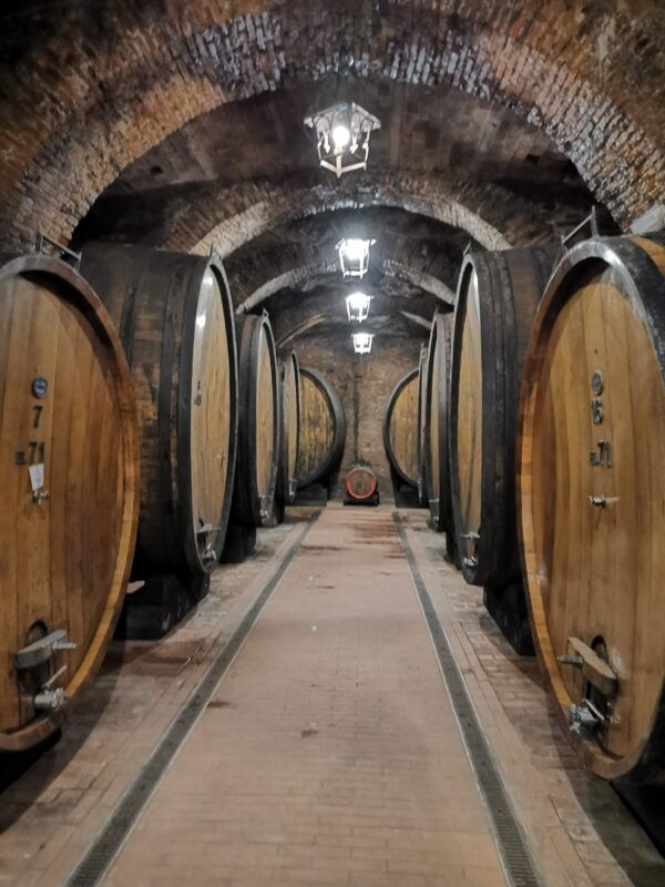 florence-montalcino-and-montepulciano-private-wine-tour