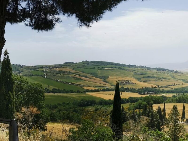 florence-montepulciano-pienza-montalcino-private-trip