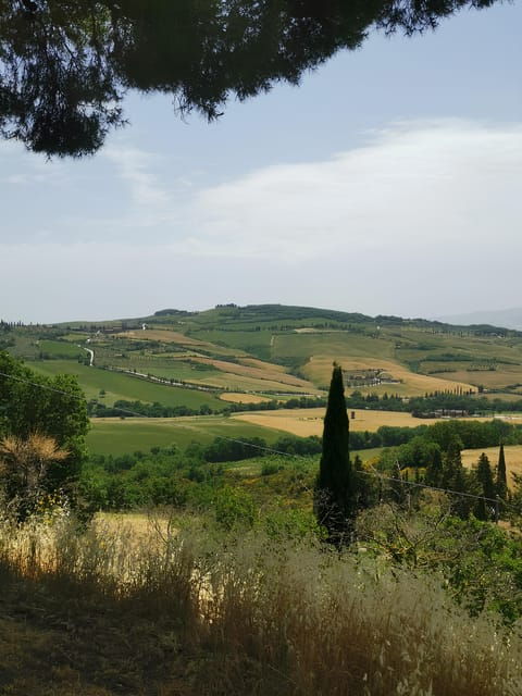 florence-montepulciano-pienza-montalcino-private-trip