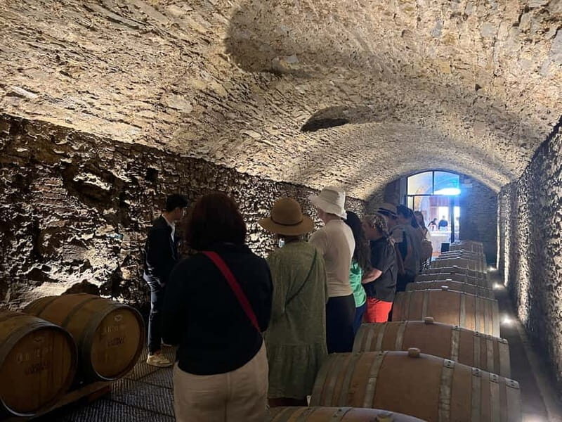 Florence: Montepulciano&Chianti in 1 day + Lunch & Transfer - Practical Considerations
