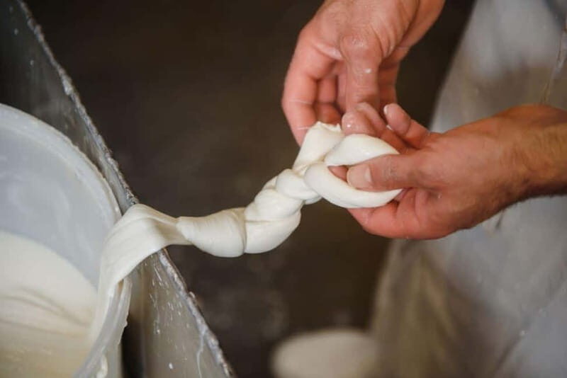 Florence: Mozzarella Making Workshop with Wine Tasting - What Reviewers Love Most