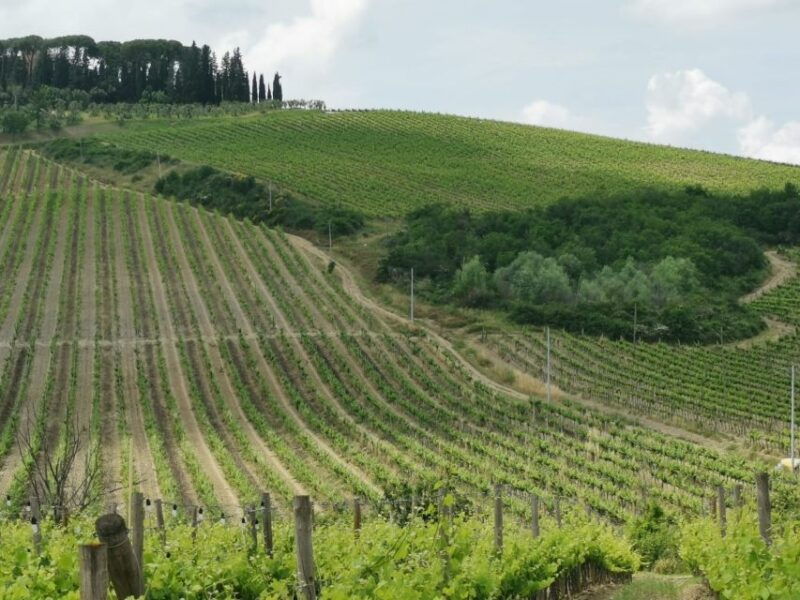 florence-panoramic-vip-tour-with-maserati
