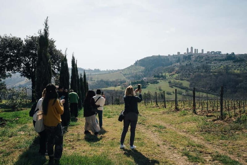Florence: Pisa, San Gimignano, Siena & Chianti Private Tour - An In-Depth Look at the Tour Experience