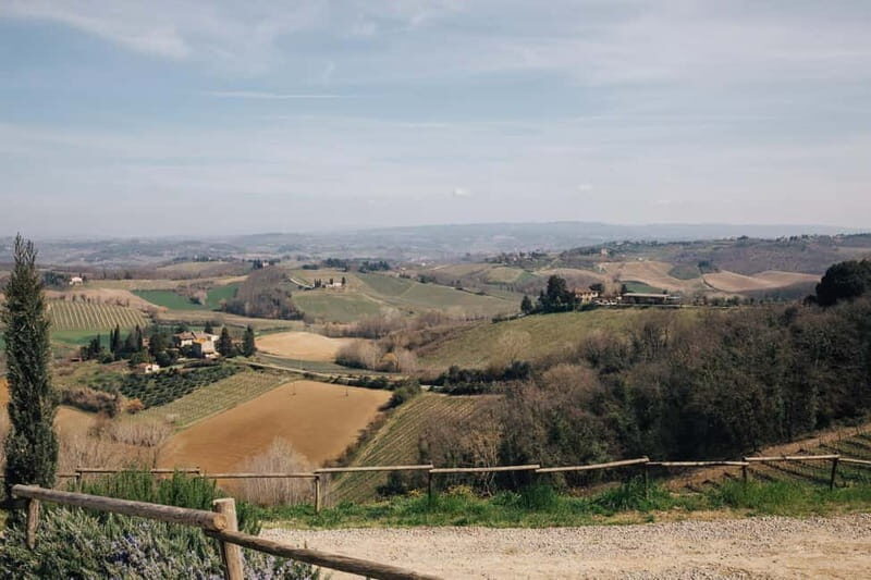 Florence: Pisa, San Gimignano, Siena & Chianti Private Tour - Who Should Consider This Tour?
