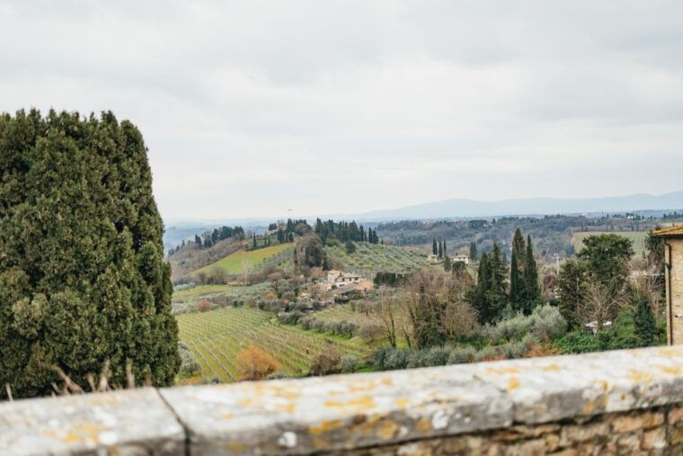 florence-pisa-siena-san-gimignano-and-chianti-experience