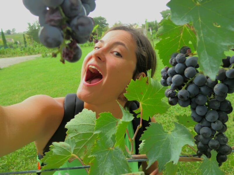 florence-pisa-tuscany-semi-private-tour