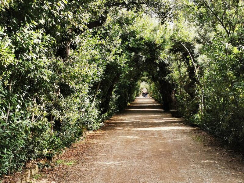 florence-pitti-palace-boboli-garden-palatine-gallery-tour