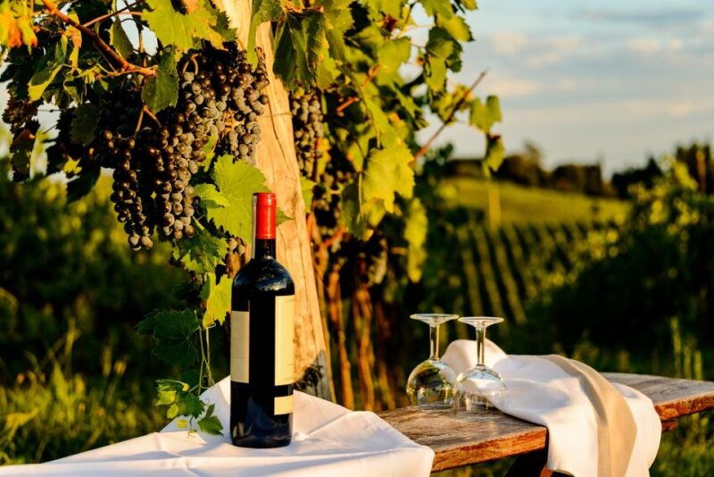 florence-private-full-day-tour-to-chianti-wine-region