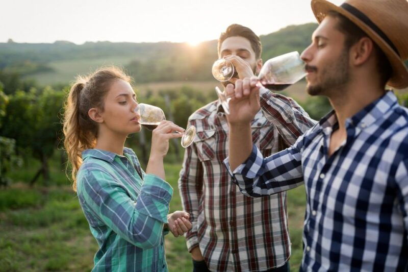 florence-private-full-day-tour-to-chianti-wine-region
