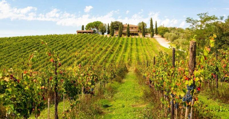 florence-private-full-day-tour-to-chianti-wine-region